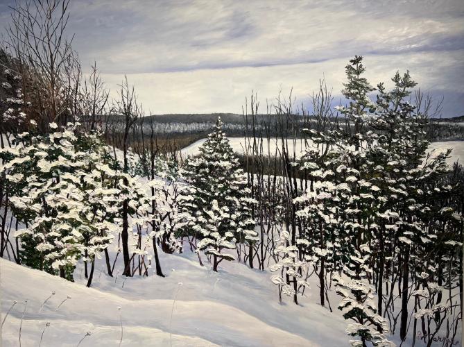 Winter Light by Debra Lynn Carroll - Artist Painting & Showing Onsite At the Gallery