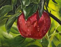 Ripe For Picking by Anne Henvey