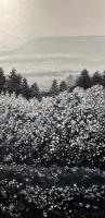 Blue In Grey by Debra Lynn Carroll - Artist Painting & Showing Onsite At the Gallery