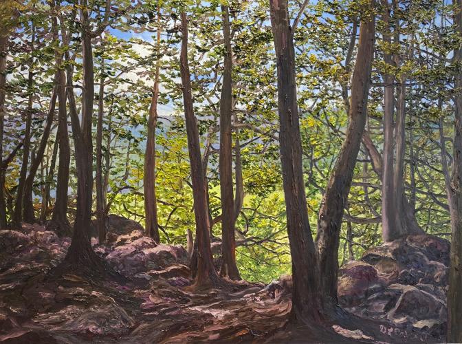 Escarpment Veil by Debra Lynn Carroll - Artist Painting & Showing Onsite At the Gallery