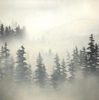 In the Mist by Janet Liesemer