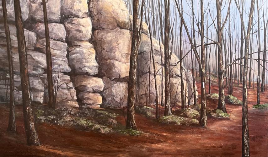 Bruce Trail Trekking by Janet Liesemer - Artist Showing Onsite At the Gallery